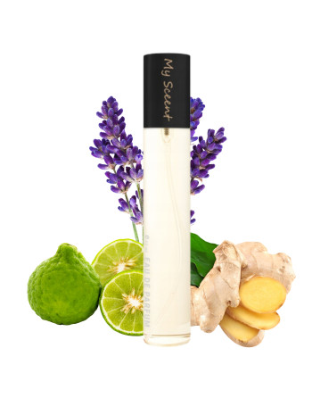 HUGO BOSS THE SCENT